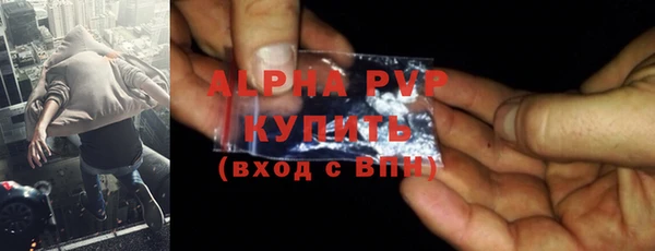 прущие грибы Пролетарск