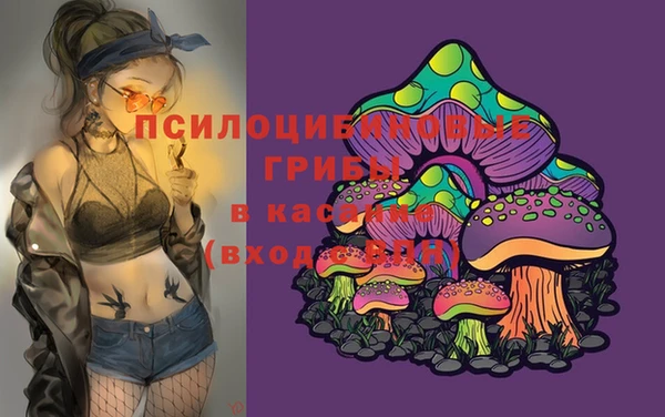 mdma Приозерск