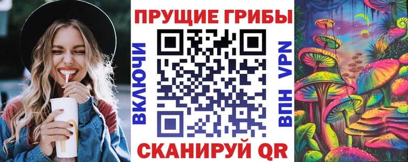 продажа наркотиков  Абаза  Псилоцибиновые грибы GOLDEN TEACHER 